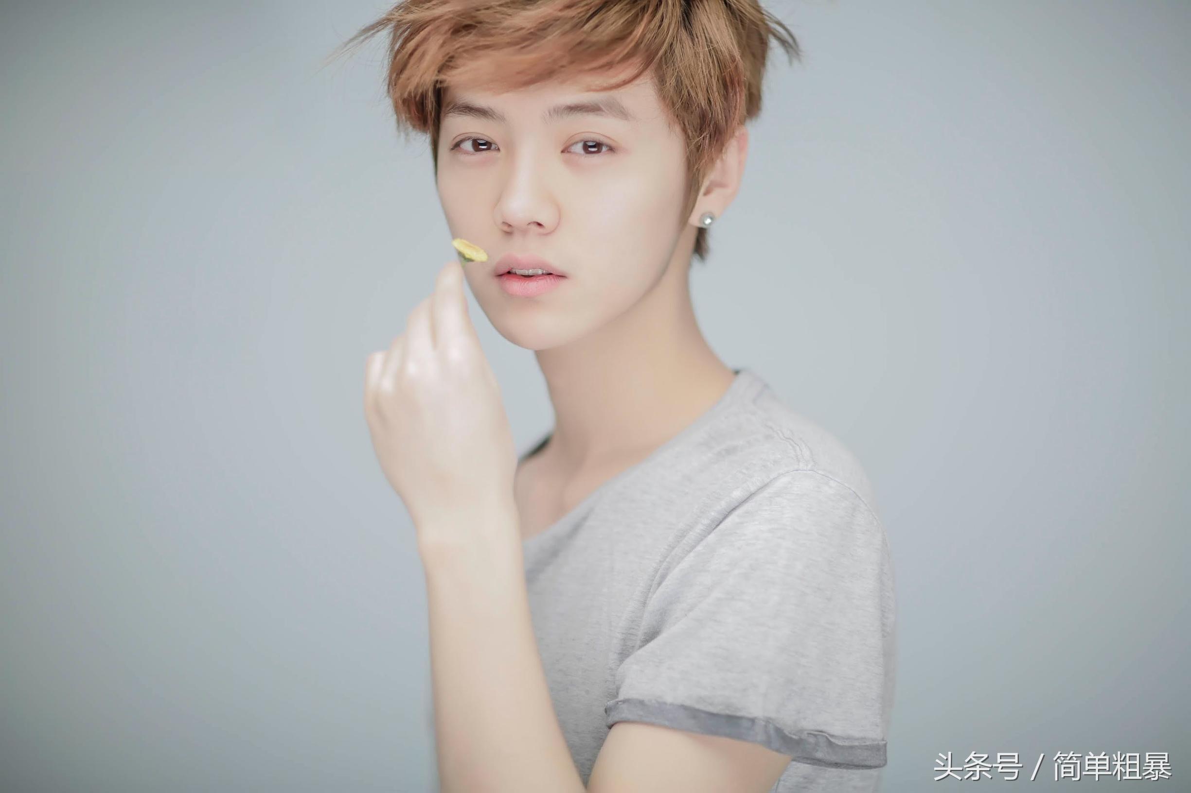 鹿晗是怎么成为明星的,鹿晗是如何成为明星的