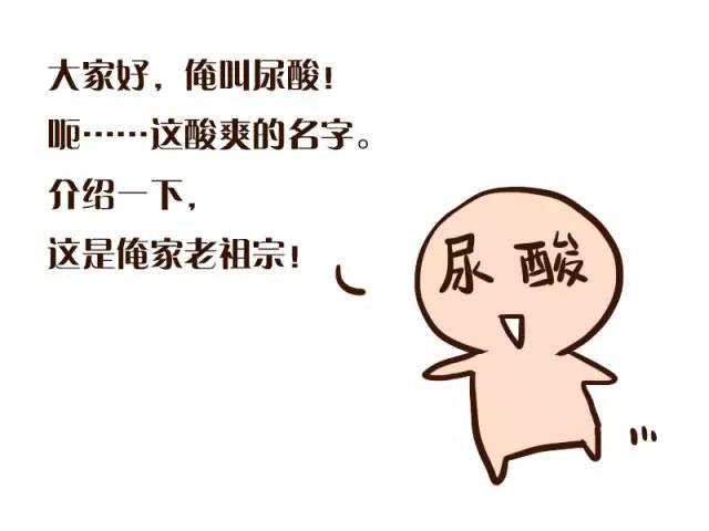 薏米桑枝核桃治痛风,痛风可以喝薏米茶吗