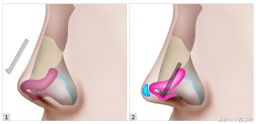 甜美公主养成记,甜妹养成记