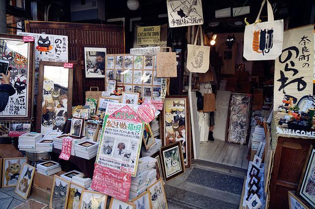 日本关西夏日赏——今夕传媒旅行家出品