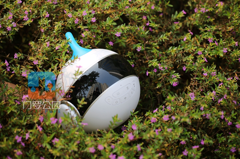 国产智能机器人测评,最便宜的智能机器人测评