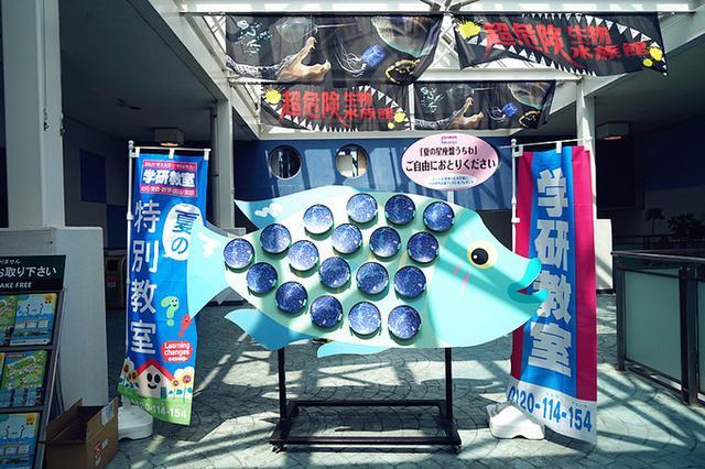 日本关西夏日赏——今夕传媒旅行家出品