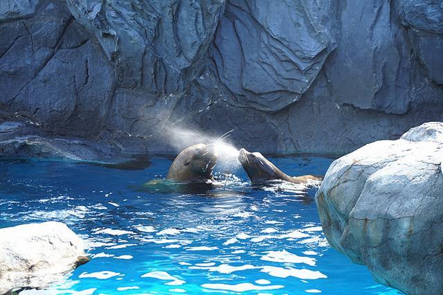 日本关西夏日赏——今夕传媒旅行家出品