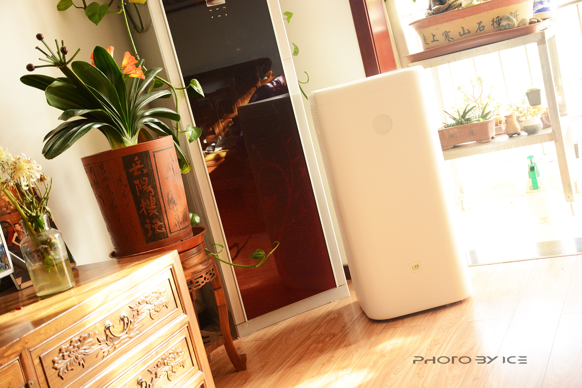 老罗测评锤子空气净化器,老罗空气清新机