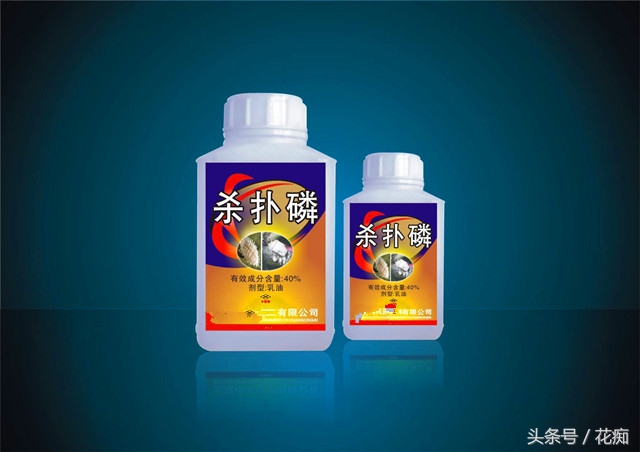 赶尽杀绝杀虫剂,如何赶尽杀绝白蚁