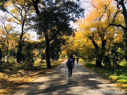 我印象最深的一次出游曲阜,难忘的旅行去曲阜