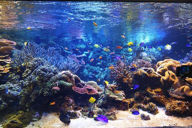 日本关西夏日赏——今夕传媒旅行家出品