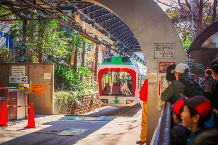 元旦｜做一个现代白领在「日本新年」来临前的谜之淡定