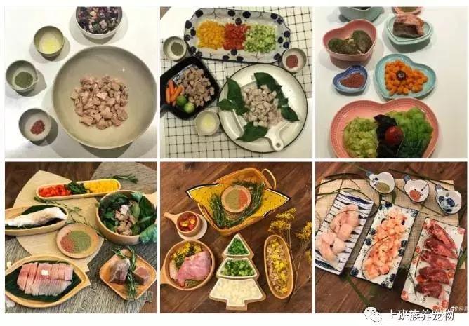 王思聪名媛女友,coco王思聪在一起过吗