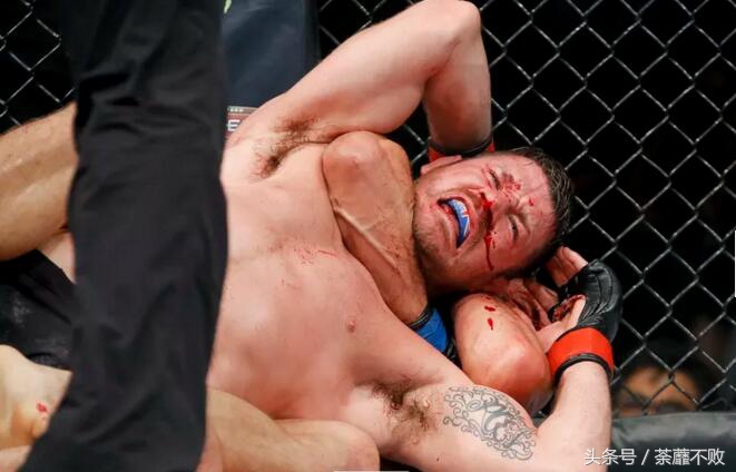 ufc选手的最后一回合,ufc选手最狠的视频