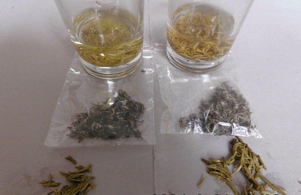 品质好的碧螺春品牌,贵州有品质的碧螺春