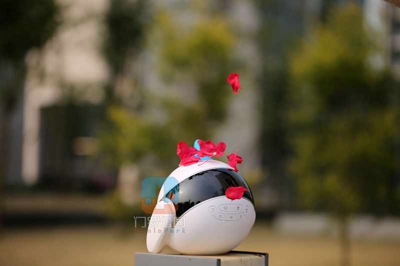 国产智能机器人测评,最便宜的智能机器人测评