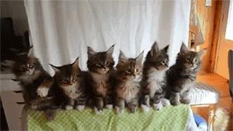 自杀vs.上市——百爪挠心的P2P网贷平台迎来了海阔天空？