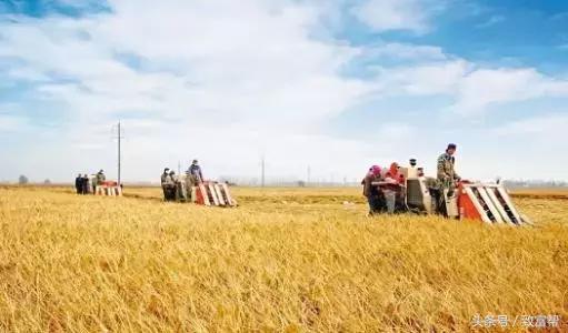 农业全程服务社会化,农业社会化服务获财政支持