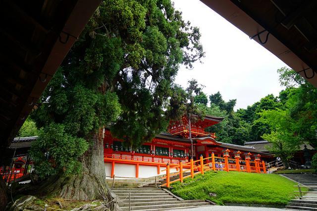 日本关西夏日赏——今夕传媒旅行家出品