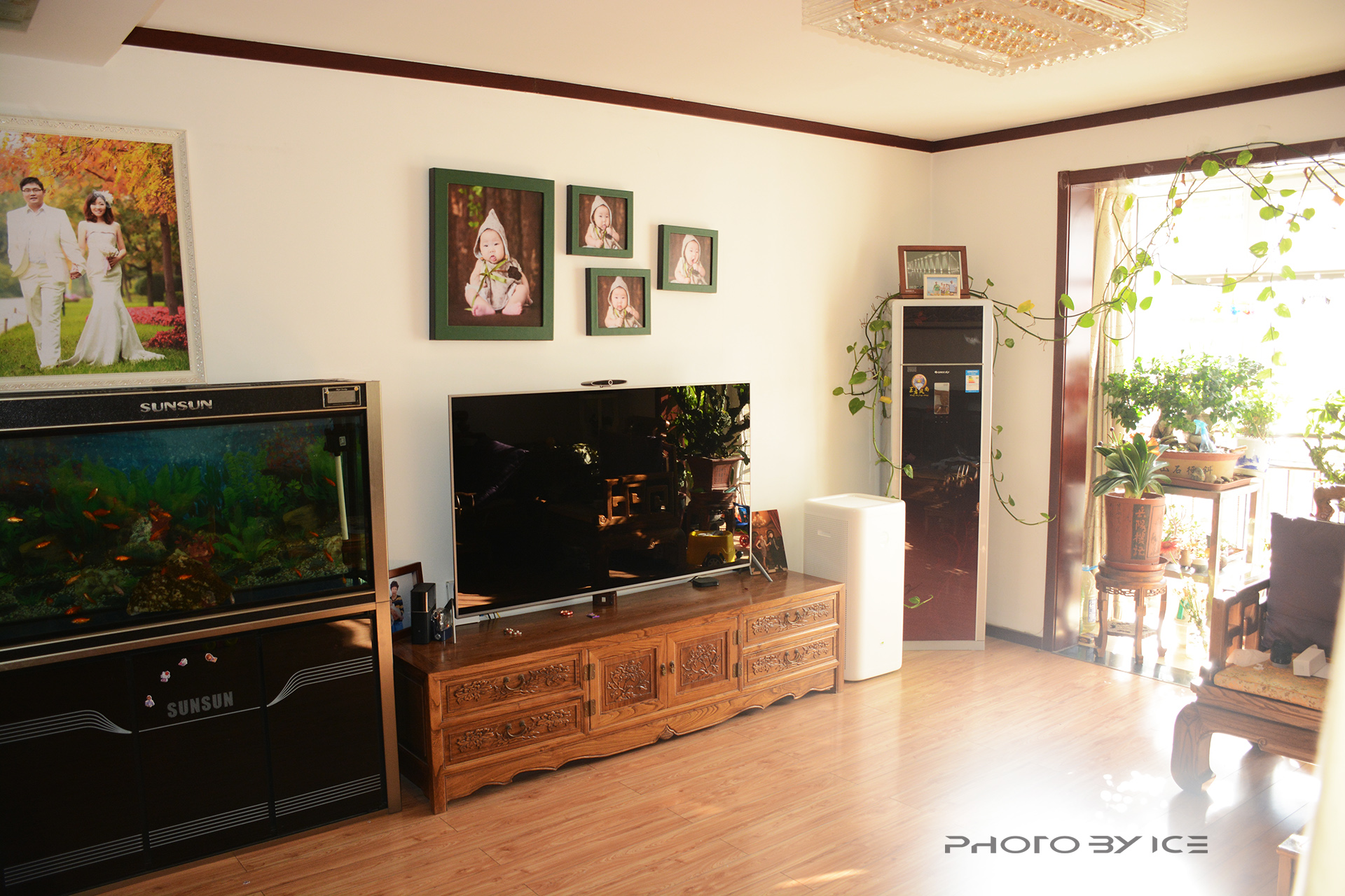 老罗测评锤子空气净化器,老罗空气清新机