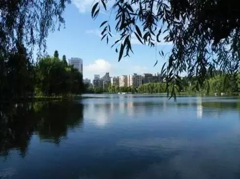 武汉地铁早高峰4号线,武汉地铁红色专列