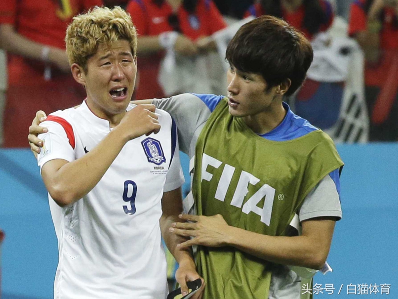 世界杯亚洲沙特伊朗实力,世界杯亚洲预选赛输给沙特后局势