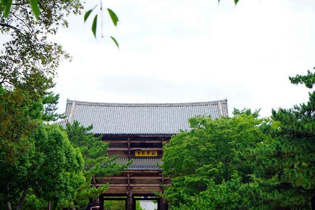 日本关西夏日赏——今夕传媒旅行家出品