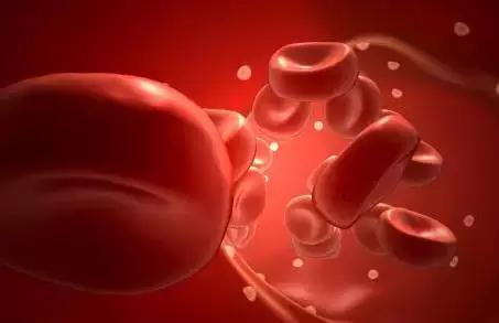 妇一科疾病自检大全,妇科疾病自检大全图解