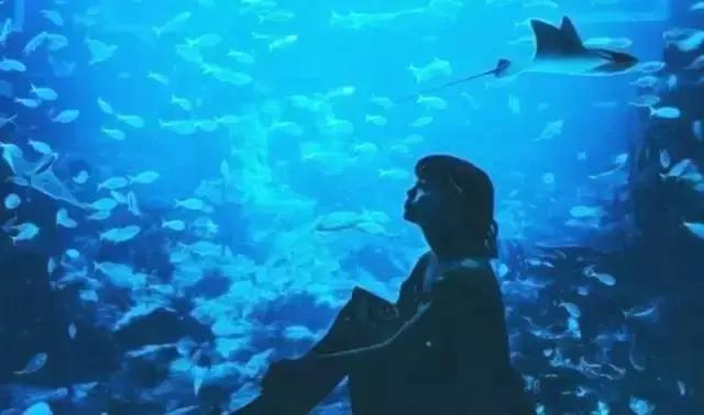 武汉地铁早高峰4号线,武汉地铁红色专列