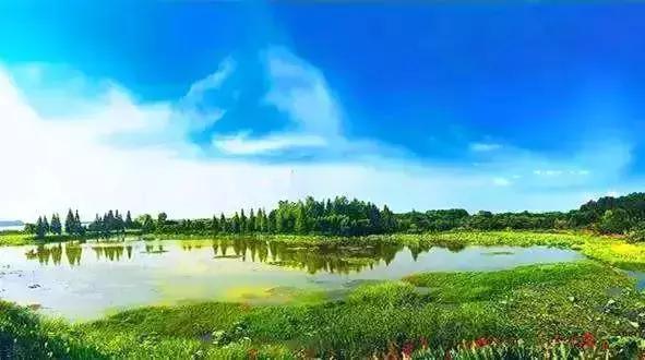 武汉地铁早高峰4号线,武汉地铁红色专列