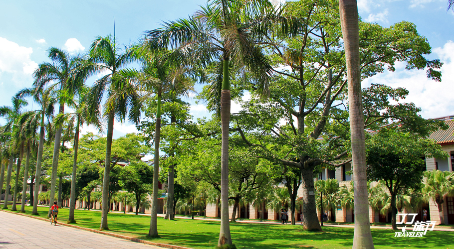 厦门南普陀第一炷香,厦门忆时光