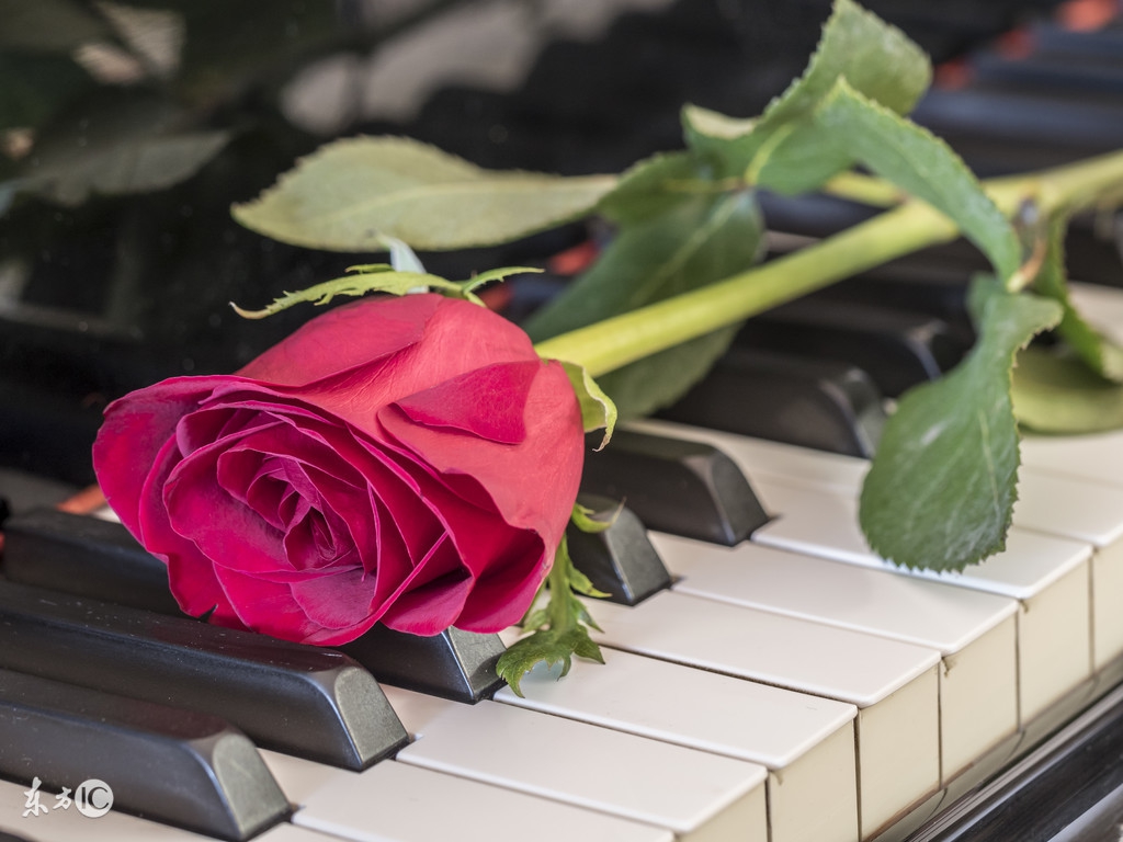 四十岁的女人要关注哪些,四十岁独身的女人