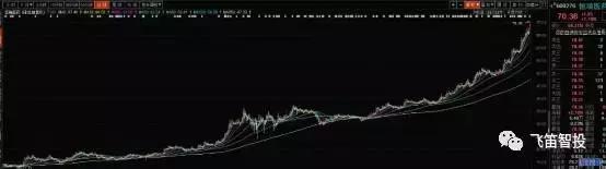 成长股是什么股票,成长股有哪些重要特征