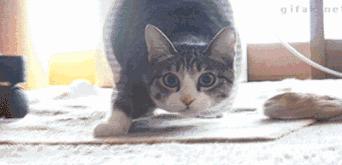 武汉地铁早高峰4号线,武汉地铁红色专列