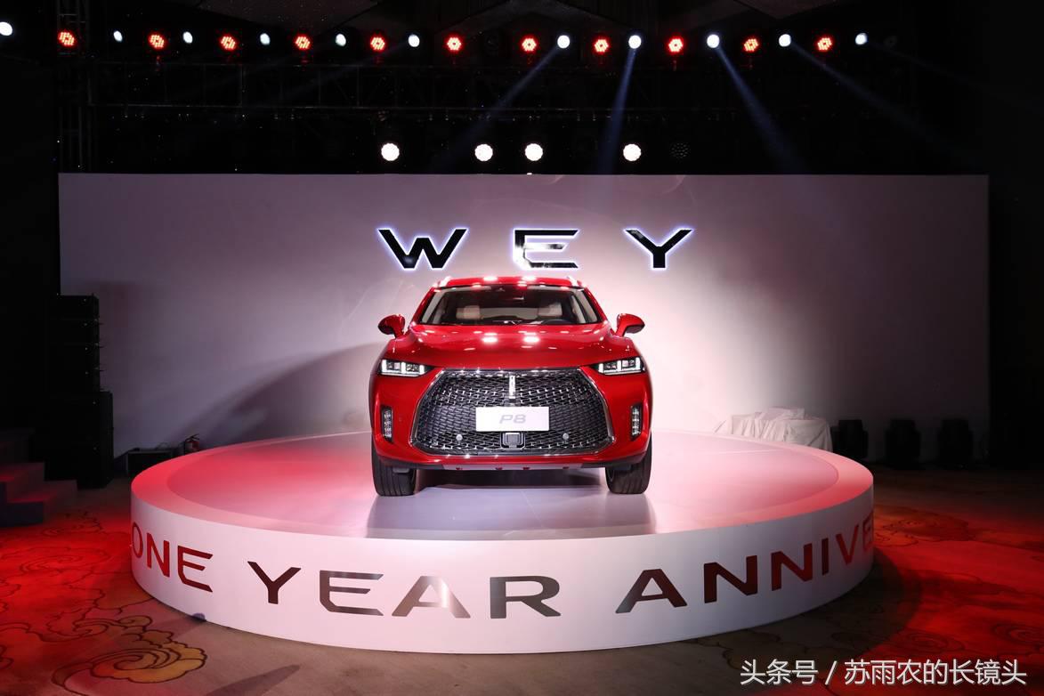 wey魏建军完整版,魏建军wey广告央视