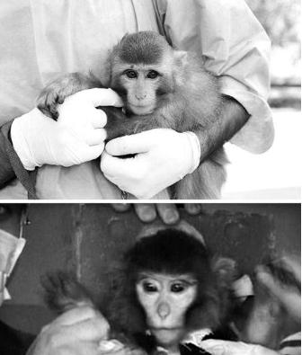 最近进入太空的宇航员有哪些,去太空的宇航员都有哪些