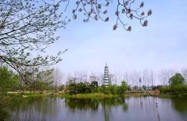 武汉地铁早高峰4号线,武汉地铁红色专列