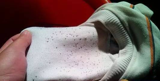 处理衣服发霉的小妙招,衣服发霉有小白点怎么处理