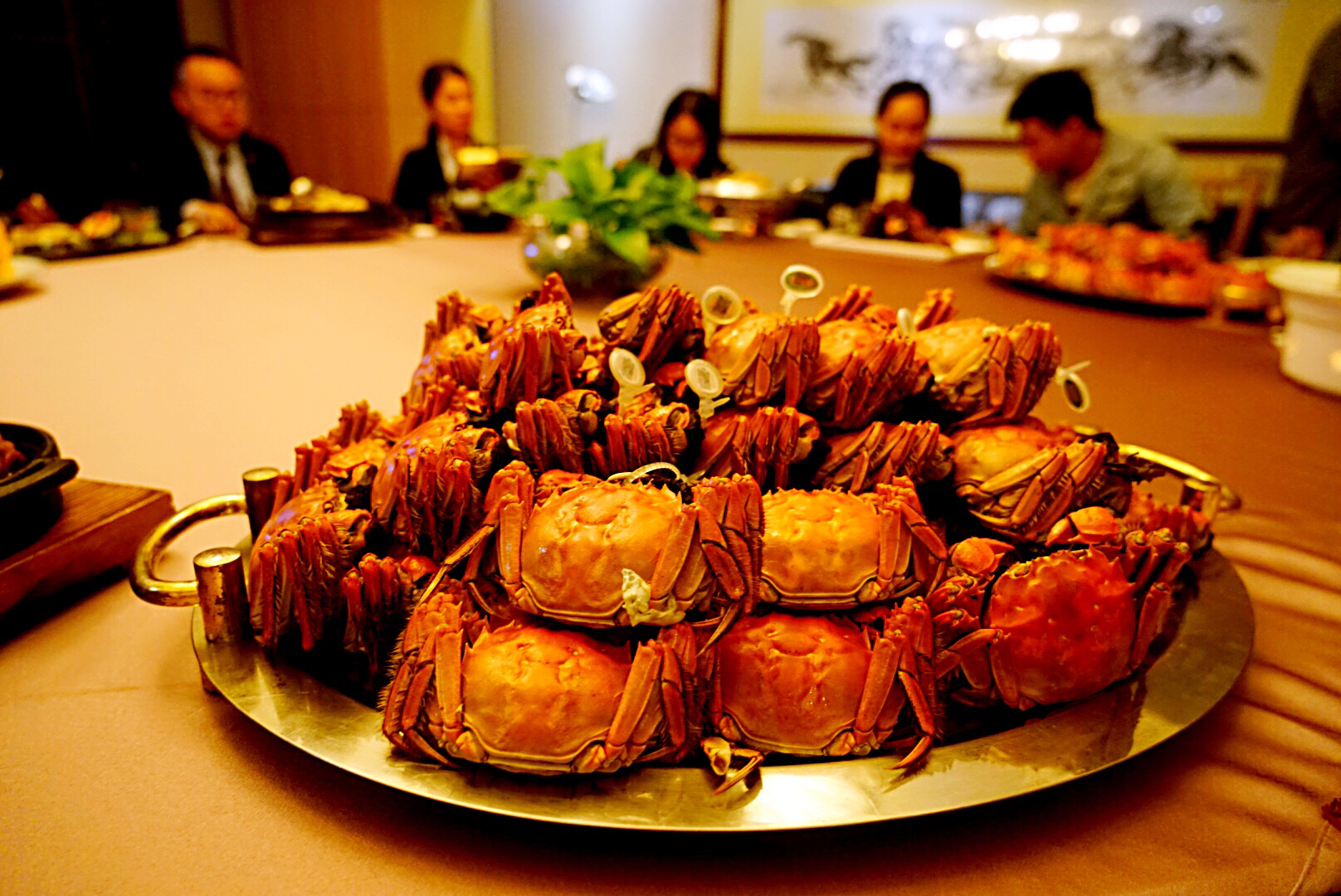 阳澄湖刚捞出来的螃蟹,阳澄湖大闸蟹现在能吃了吗