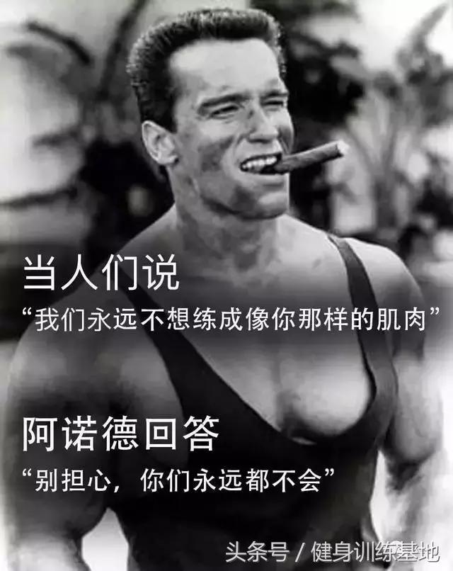 什么叫死肌肉和活肌肉,活肌肉单挑死肌肉