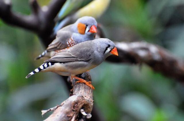 对看不惯的人远离,和看不惯的人生活在同一屋檐下
