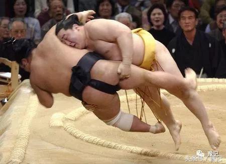 日本相扑退役后的现状,日本人知道相扑起源于中国吗