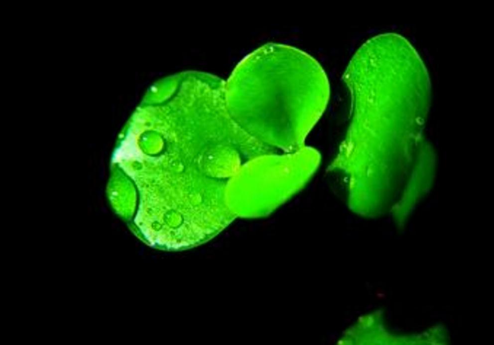 避免翻船通关,如何防止船舶翻船