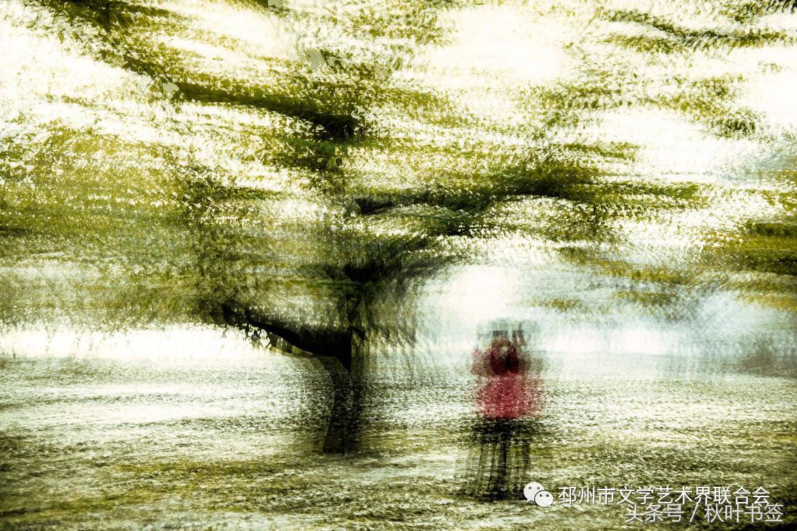 2017杏会邳州｜山东·王统武：邳州美景摄影作品欣赏