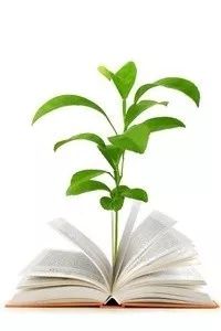 苏州南京杭州七日游,苏州南京上海杭州自由行旅游攻略