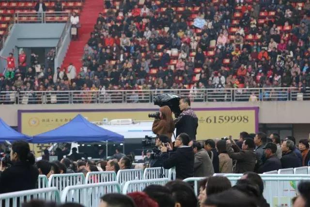 临泉乐翻天,临泉体育场球赛直播