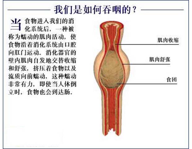 耳塞治疗耳鸣,耳鸣耳塞怎样解决嗡嗡响
