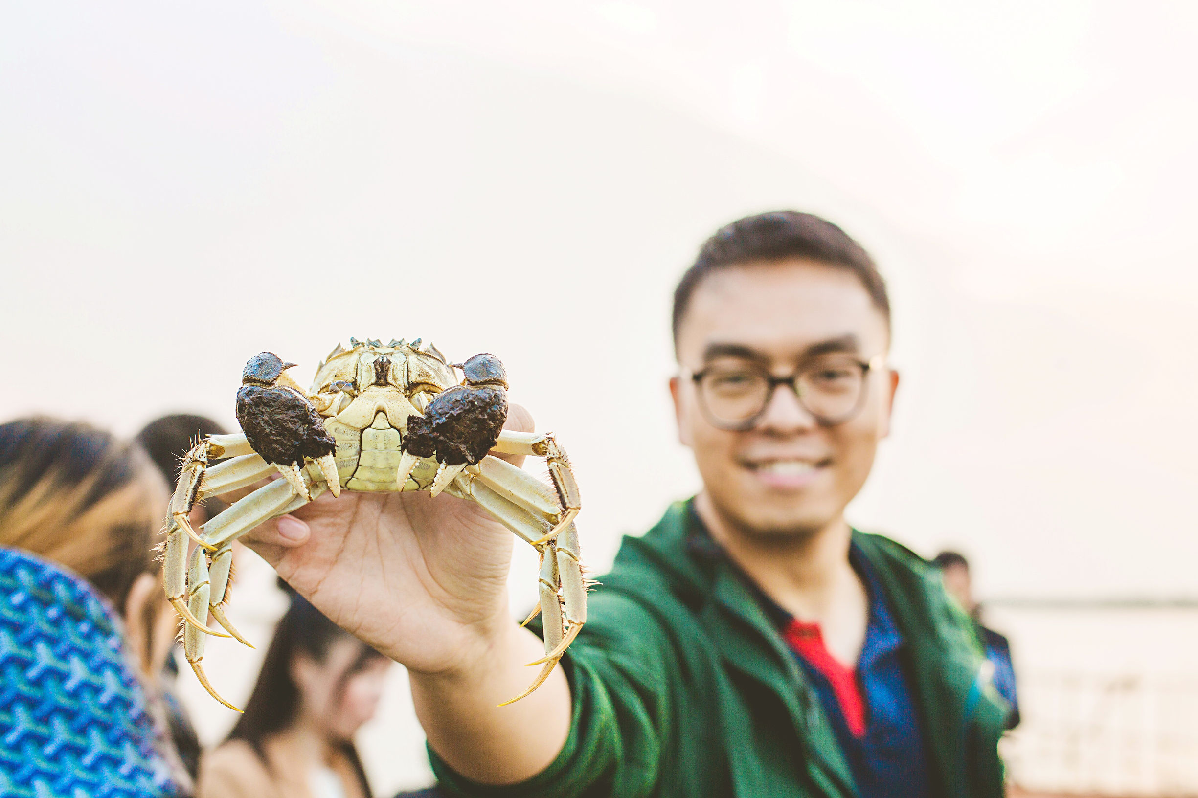 阳澄湖刚捞出来的螃蟹,阳澄湖大闸蟹现在能吃了吗
