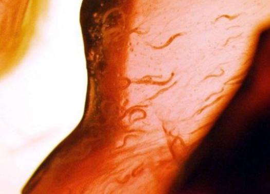 最近进入太空的宇航员有哪些,去太空的宇航员都有哪些