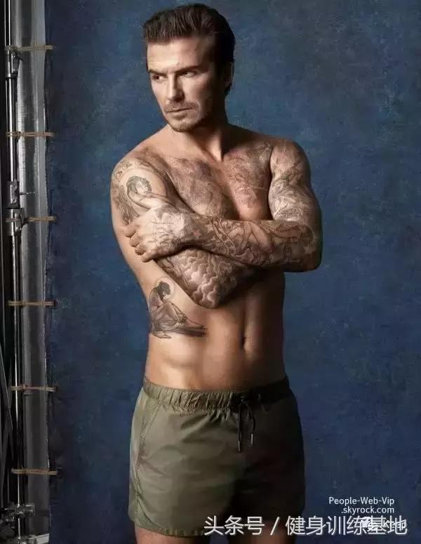 什么叫死肌肉和活肌肉,活肌肉单挑死肌肉