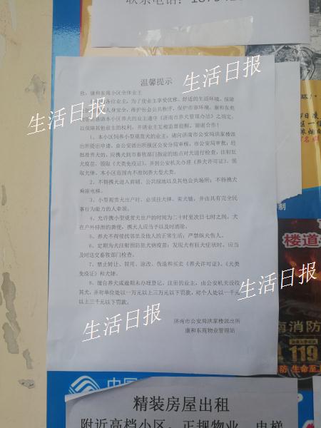 物业不让低层住户坐电梯,物业规定狗不能上电梯吗