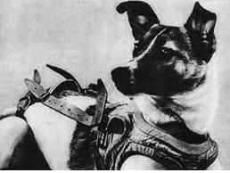 最近进入太空的宇航员有哪些,去太空的宇航员都有哪些