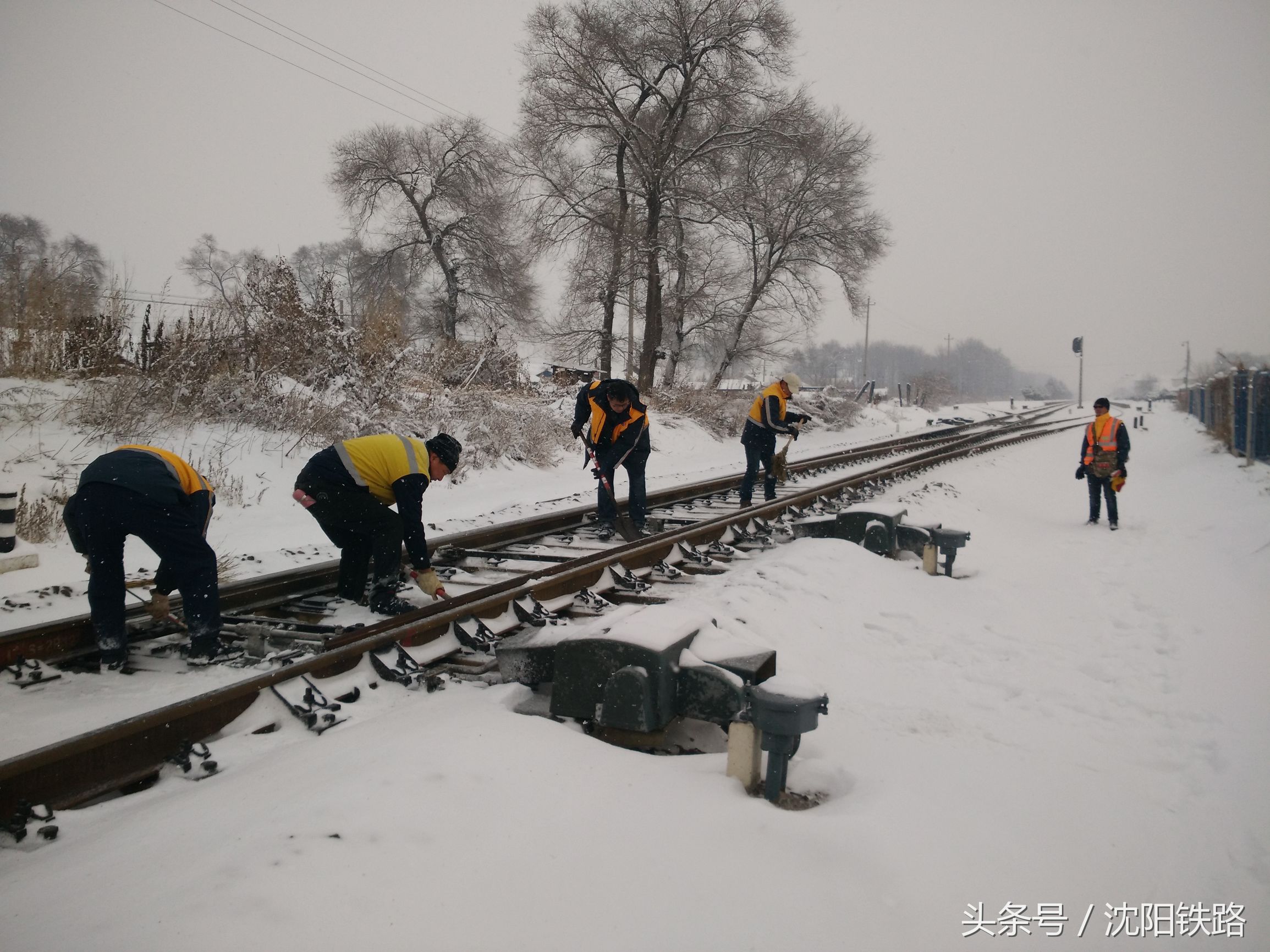 长白山下大雪了没有,长白山今天大雪视频