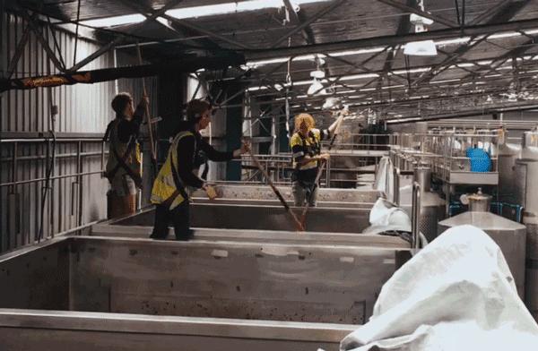 他们有钱，会玩，没有中产焦虑